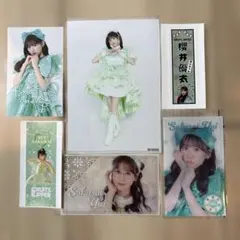 え*ん様 RUITS ZIPPERフルーツジッパー 櫻井優衣 写真 ステッカー