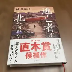 逃亡者は北へ向かう