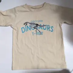 恐竜 Tシャツ サイズ110のサムネイル