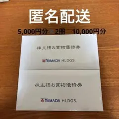 【匿名配送】ヤマダ電機　お買物優待券　500×10枚×２冊　10,000円分