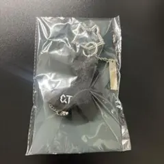 &TEAM BLAZE THE WAY キーリング キーホルダーのサムネイル