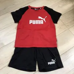 PUMA 赤黒 ジャージ 120cm