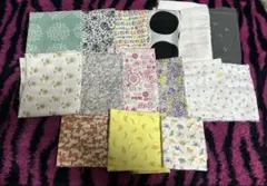 Item thumbnail for item 506dff9b-68f1-484d-b2da-e2768676c51f