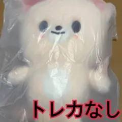 アイエン　バックパック　リュックサック　トレカなし　6期　ペンミ　スキズ