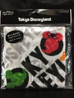 新品　ウォッシュタオル    今治タオル　ディズニー