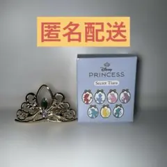 ディズニーストア　シークレット　ジャスミン　ティアラ
