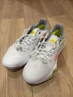 【未使用】バスケットボールシューズ　ノヴァサージローカット