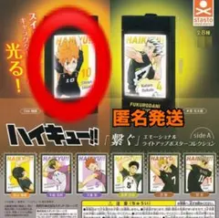 ハイキュー エモーショナルライト日向2点セット