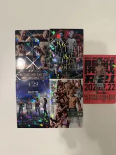 RIZIN ポテトスティック