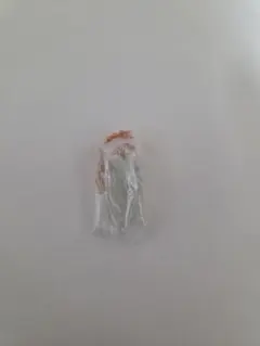 Stray Kids　ジニレット　グミ&チャーム