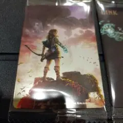 ゼルダの伝説 ティアーズオブザキングダム ツイン ウエハース リンク No.26