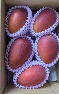 鹿児島県産 完熟マンゴーB品 アーウィン種 M〜Lサイズ 8玉 - メルカリ