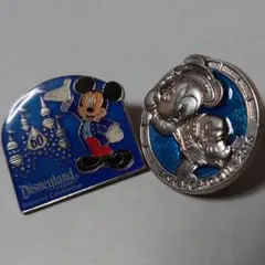 ディズニーカードクラブ ピンバッジ ２個セット