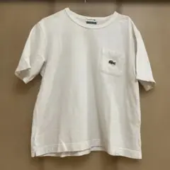 LACOSTE 鹿の子地ポケット半袖Tシャツ 36