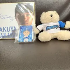 Item thumbnail for item 8298c4f2-7329-4cce-8e01-a4d7fe6c338b