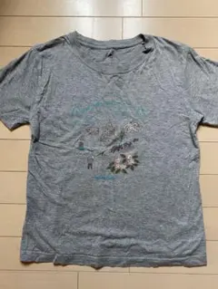 モンベル　綿100 Tシャツ150㎝