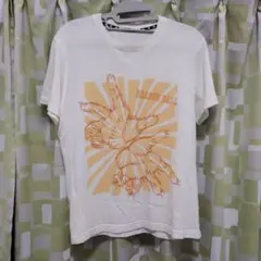 Tシャツ　UT　ドラゴンボール　かめはめ波　ユニクロ　Mサイズ　白　半袖