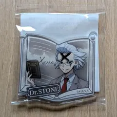 くじ引き堂 Dr.stone C賞 アクリルキーホルダー BOOK型 ゼノ