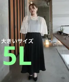 オーガンジー2wayボレロ＋フレアワンピース　オケージョンドレス 結婚式5L