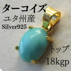 大特価✨ 天然 ターコイズ ネックレス トップ シルバー925 ゴールド