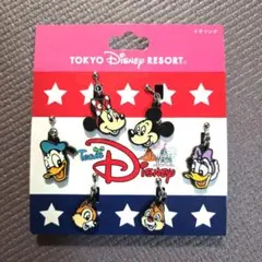 東京ディズニーリゾート Team Disney イヤリング 6個セット