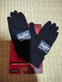 Item thumbnail for item d06548c8-4fd6-4f19-9e1a-610c1ed4dc25