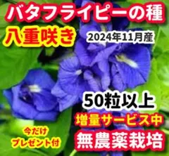 クレソンo23様 リクエスト 4点 まとめ商品