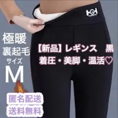 Item thumbnail for item 722423ce-d958-4a9b-bb8d-fc13d937f622