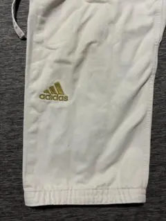 Item thumbnail for item 938351af-c526-490f-a608-df6ba6ea3332