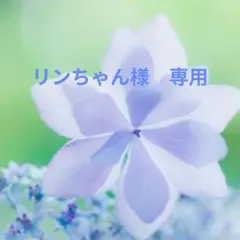 リンちゃん様　専用　2点