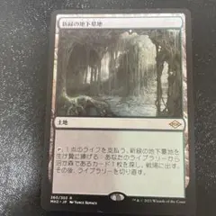 新緑の地下墓地　1枚