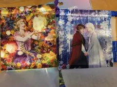 ディズニーImagining the magic巾着ラプンツェル、エルサ、アナのサムネイル