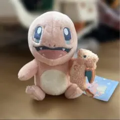 ポケモンセンター ヒトカゲとリザードン ぬいぐるみ littledaydream