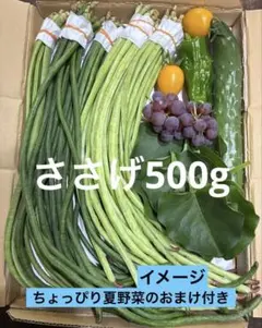 ささげ500g (ちょっぴり夏野菜のおまけ付き)のサムネイル