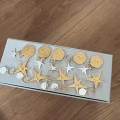 CHANELシャネル　クリスマス　ホリデー限定チャーム　カメリア　コメット10点