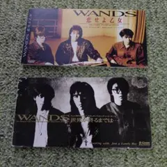 2026年最新】wandsの人気アイテム - メルカリ