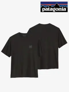 ㉗　希少廃盤パタゴニア　キャプリーン・クール・デイリー・グラフィック・シャツ