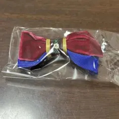 アナ雪 ランダム ヘアアクセサリー フローズンジャーニー アナ