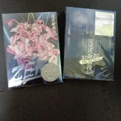 滝沢歌舞伎 ZERO 2020 The Movie('20松竹)〈初回盤・2枚…