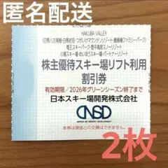 日本スキー場開発株主優待 スキー場リフト利用割引券　2枚　白馬八方尾根 岩岳 他