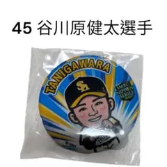 若鷹ガチャ 谷川原健太 缶バッジ まとめ売り バラ売り可 バラ◎】福岡ソフトバンクホークス 若鷹ガチャ 缶バッジ 谷川原