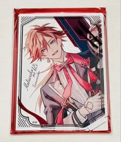 パモチュウ様 リクエスト 2点 まとめ商品