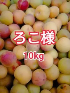 2026年最新】甲州小梅の人気アイテム - メルカリ