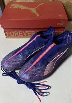 Item thumbnail for item 5aff7ccc-375a-4246-bda5-bab5ca87e804