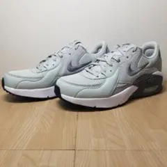 【HL301】ナイキ NIKE ウィメンズ エア マックス エクシー