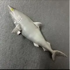 オオメジロザメ シャーク　&co デアゴスティーニ　アンドコ