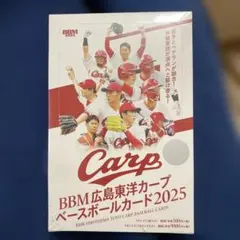 ベースボールカード カープ・レジェンド 2015 - メルカリ