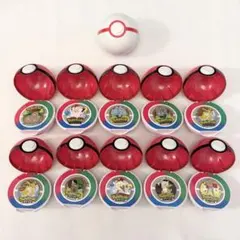 ポケパーク カントー ピンズ モンスターボール 10個 プレミアボール １個