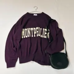 ロゴニット スローブイエナ