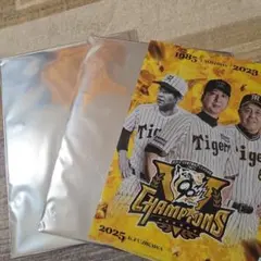 Item thumbnail for item 8d38e5e6-bdf7-4641-a076-72121a63d6cc